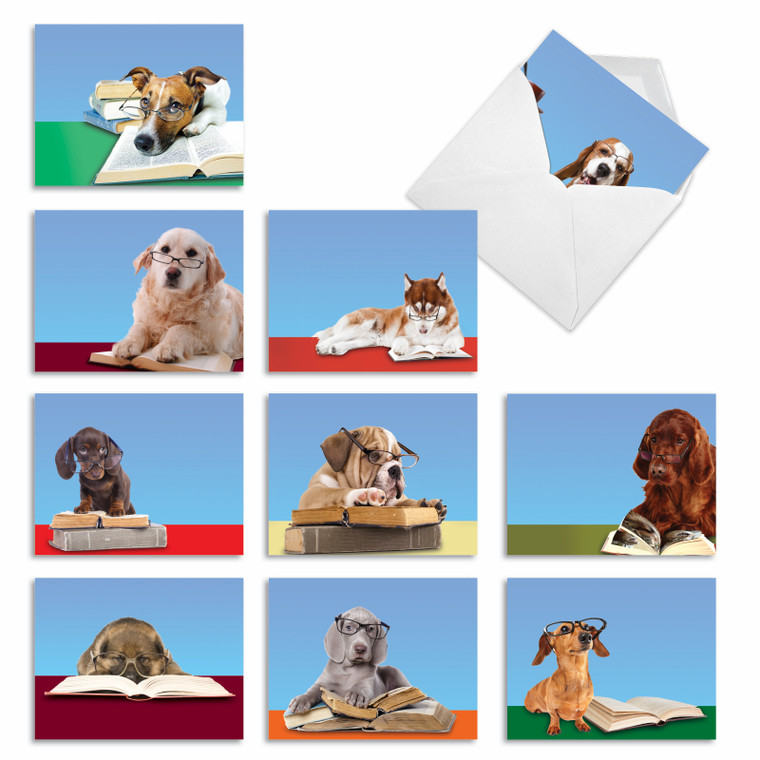 Reading Eye Dogs, Assorted Set Of Blank Notecards - AM3967OCB