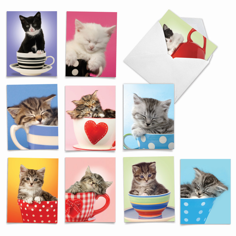 Cup-Cats, Assorted Set Of Blank Notecards - AM3969OCB