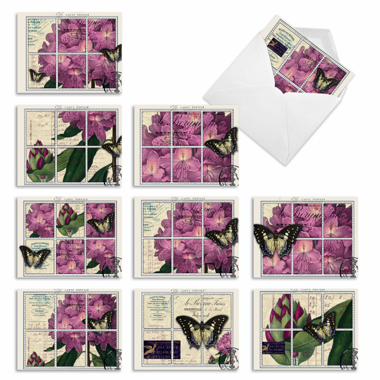 Papillon Post, Assorted Set Of Blank Notecards - AM3981OCB