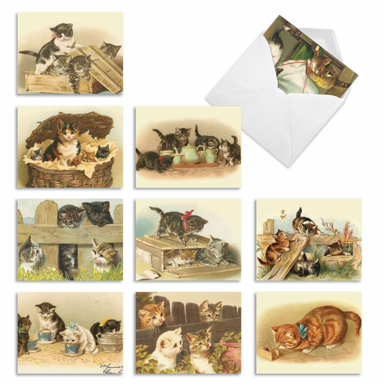 Cutey Cats, Assorted Set Of Blank Notecards - AM1732OCB