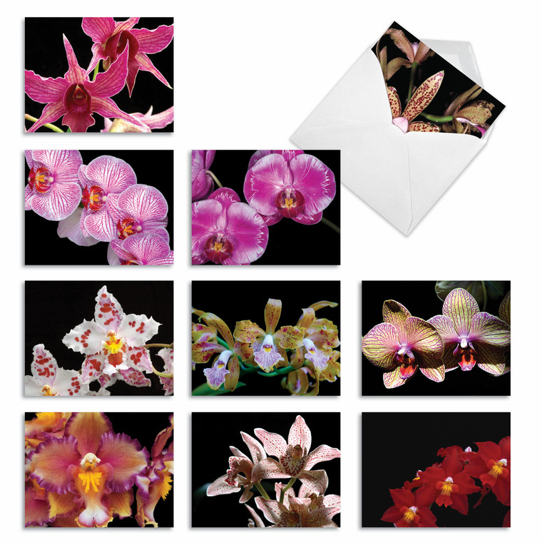 Orchid Nights, Assorted Set Of Blank Notecards - AM1734OCB