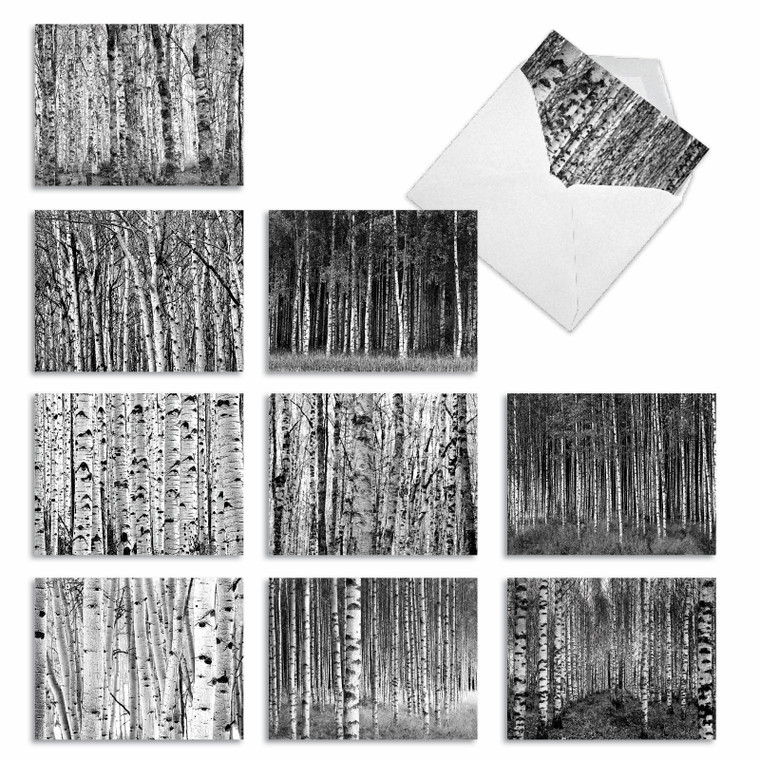 Whitewoods, Assorted Set Of Blank Notecards - AM6451OCB
