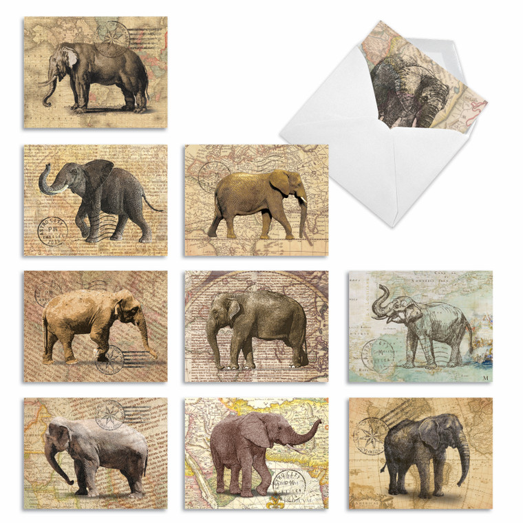 Trunk Mail, Assorted Set Of Blank Notecards - AM9636OCB
