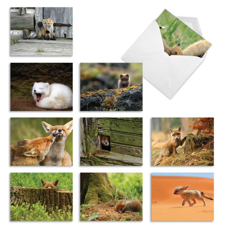 Little Foxes, Assorted Set Of Blank Notecards - AM6480OCB