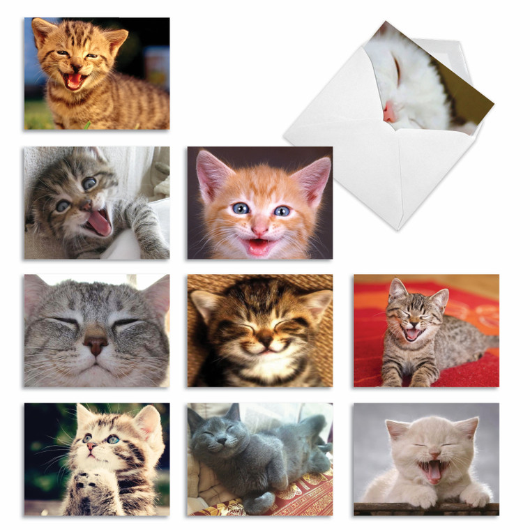 Smitten Kittens, Assorted Set Of Blank Notecards - AM6485OCB