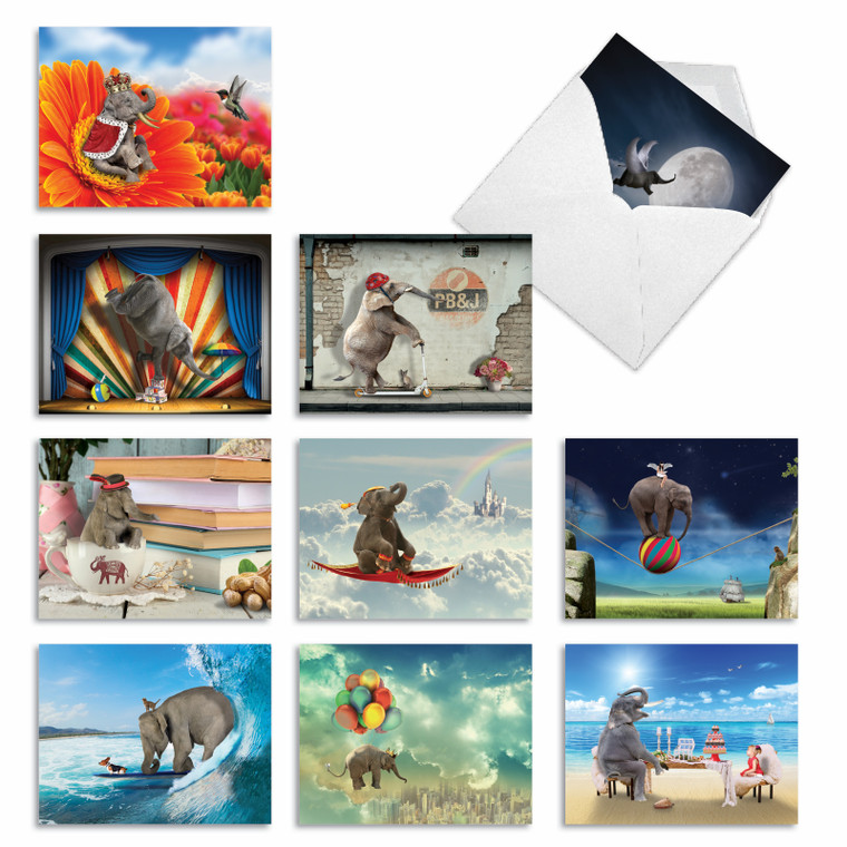 Elefantasy, Assorted Set Of 10 Printed Blank Notecards - AM6579OCB