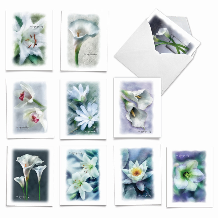 Blooming Memories, Assorted Set Of Blank Notecards - AM6598SMB