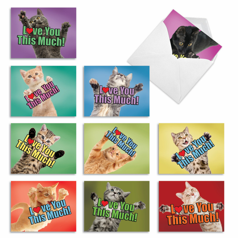 Cat Love You This Much, Assorted Set Of Blank Notecards - AM6610OCB