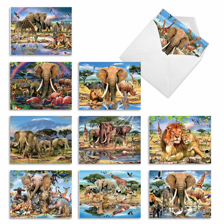 Savanna Selfies, Assorted Set Of Blank Notecards - AM6640OCB