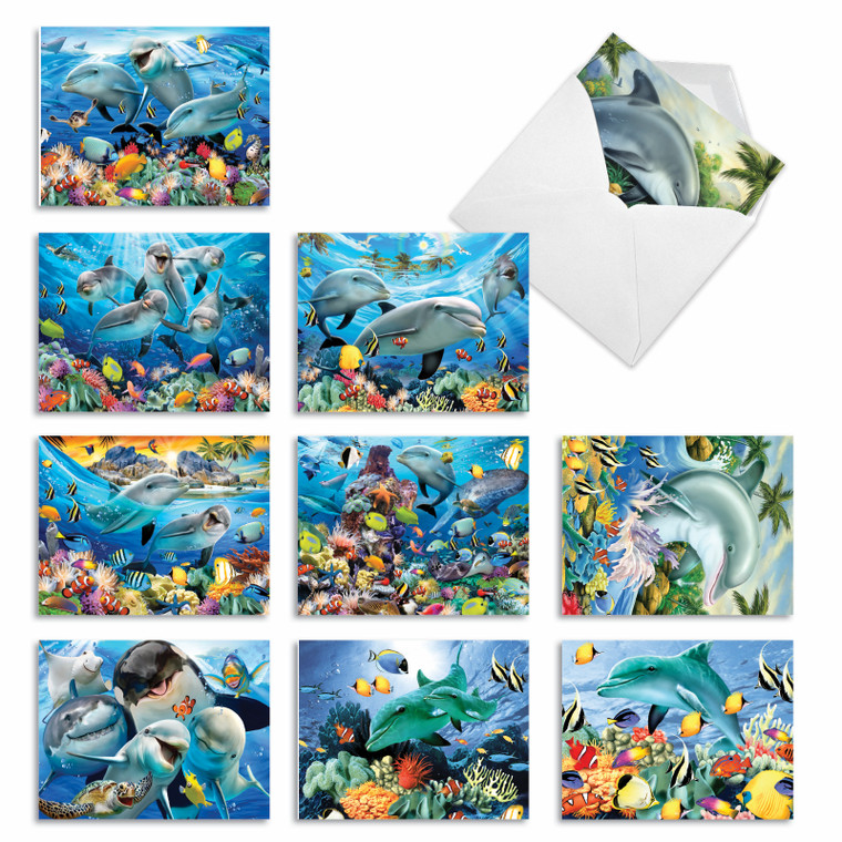 Multi Porpoises, Assorted Set Of Blank Notecards - AM6643OCB