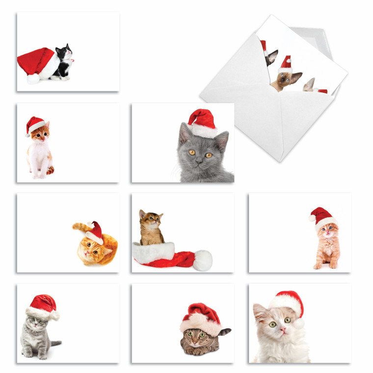 Santa Cats, Assorted Set Of Blank Notecards - AM6687XSB