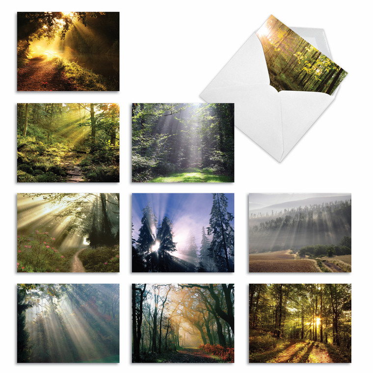 Shining Through, Assorted Set Of Thank You Notecards - AM1735TYG