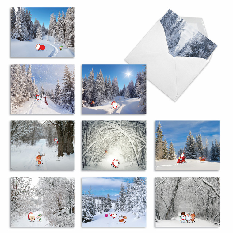 Santa Paths, Assorted Set Of Blank Notecards - AM6716XSB