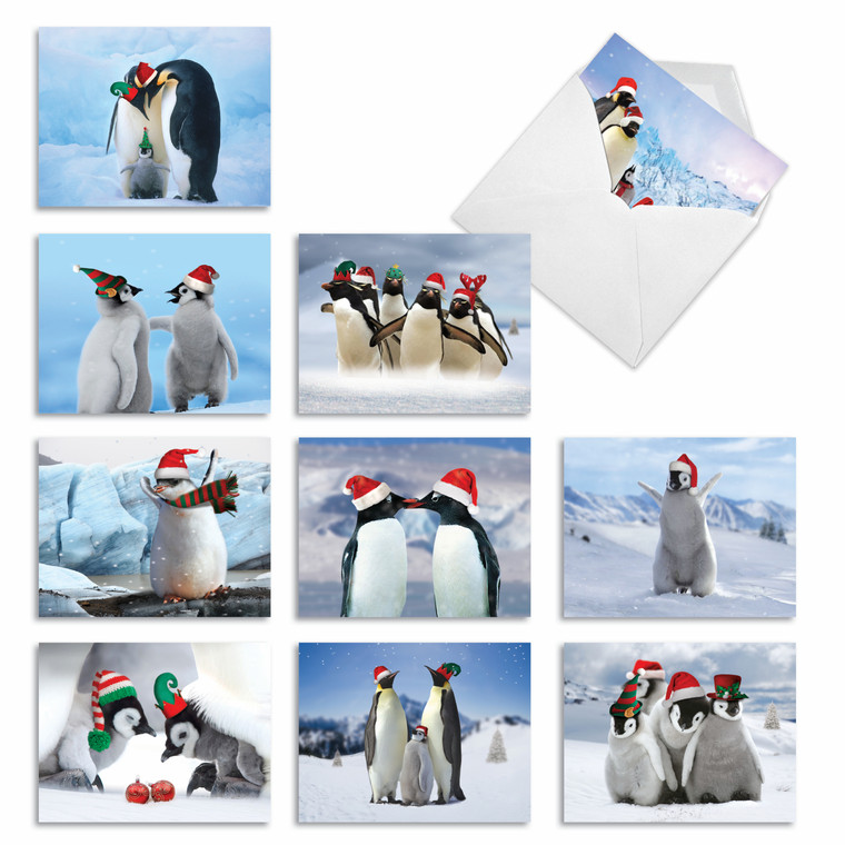 Penguins And Greetings, Assorted Set Of Blank Notecards - AM2951XSB