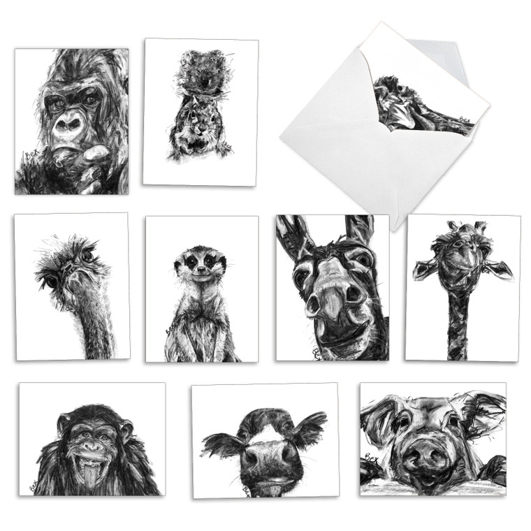 Charcoal Animals, Assorted Set Of Blank Notecards - AM2956OCB