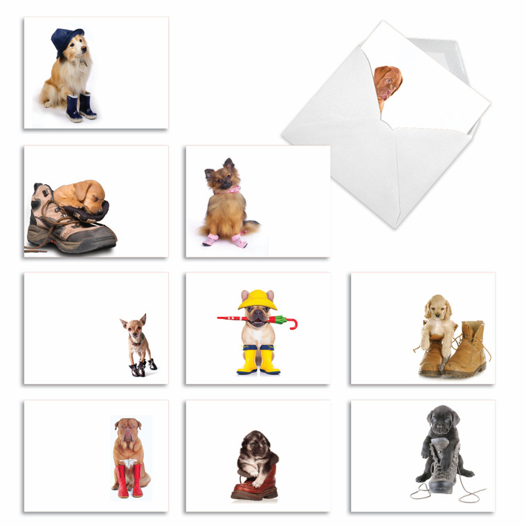 These Boots Are Made For Puppies, Assorted Set Of Blank Notecards - AM2980OCB