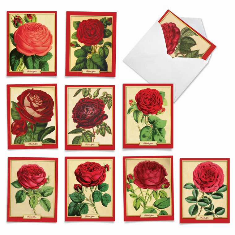 Retro Roses, Assorted Set Of Thank You Notecards - AM1739TYG