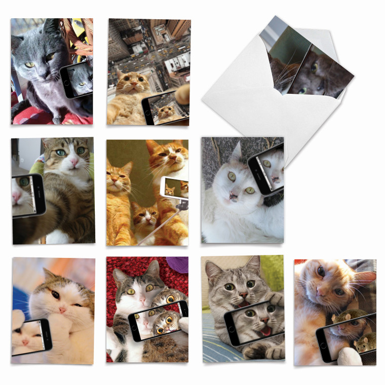 Cats Selfie, Assorted Set Of Blank Notecards - AM4953OCB