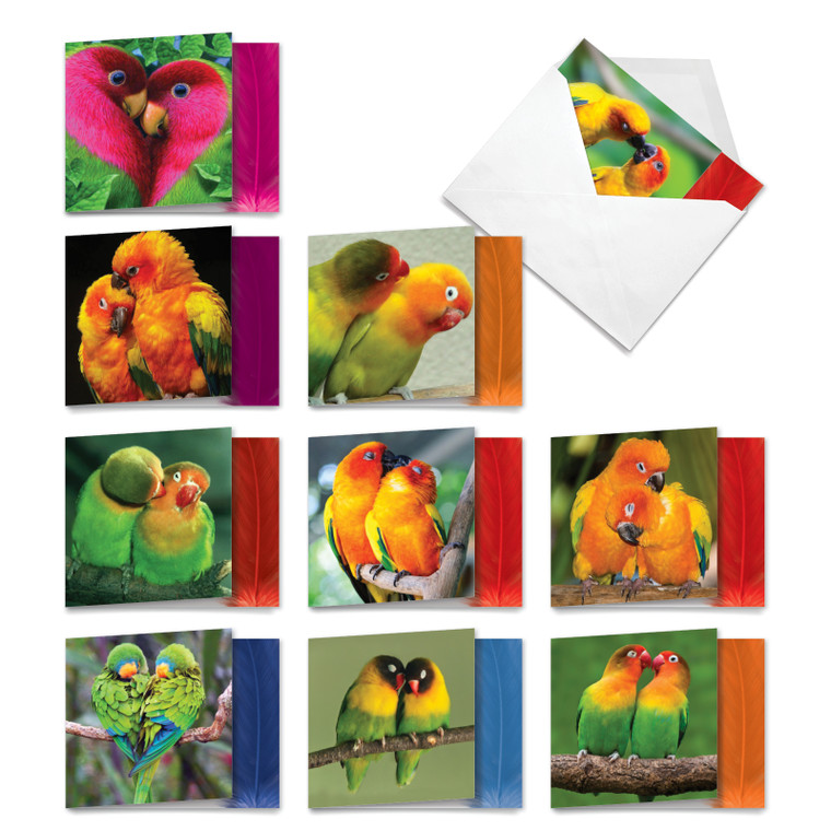 Love-birds, Assorted Set Of Square-Top Blank Notecards - AMQ4628OCB