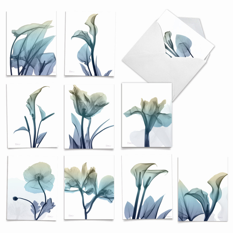 Blooming Expressions, Assorted Set Of Blank Notecards - AM6221OCB