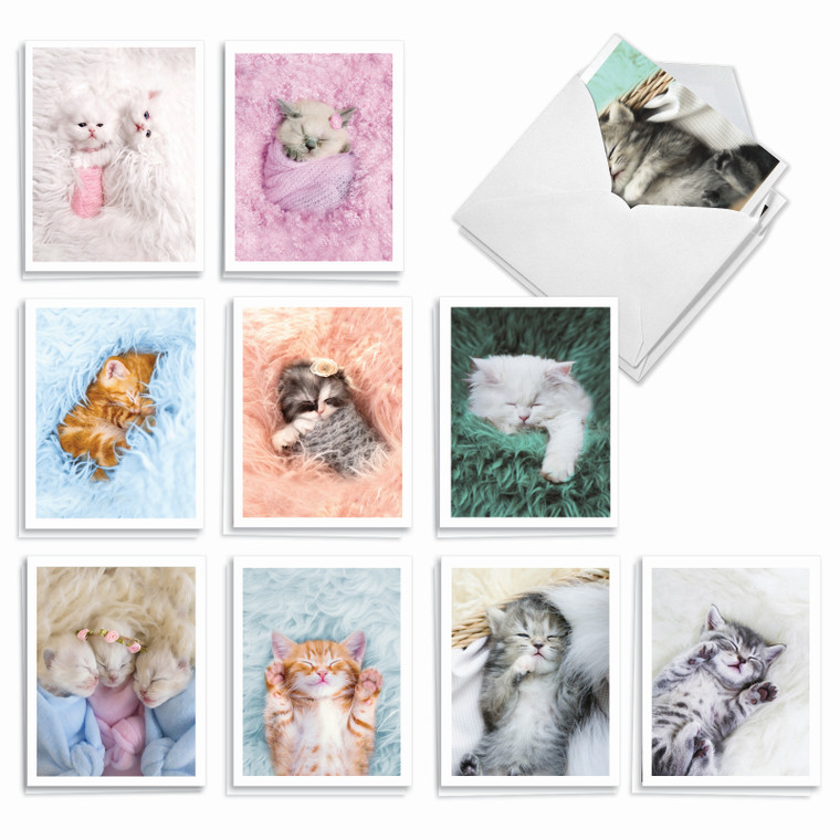 Fluffy Furballs, Assorted Set Of Blank Notecards - AM7168OCB