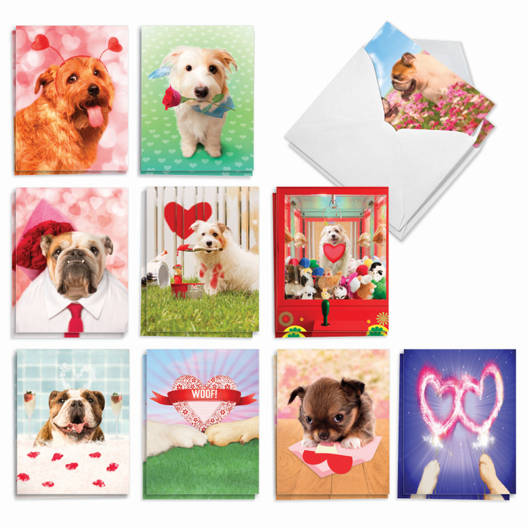 Loving Puppies, Assorted Set Of Blank Notecards - AM3188OCB