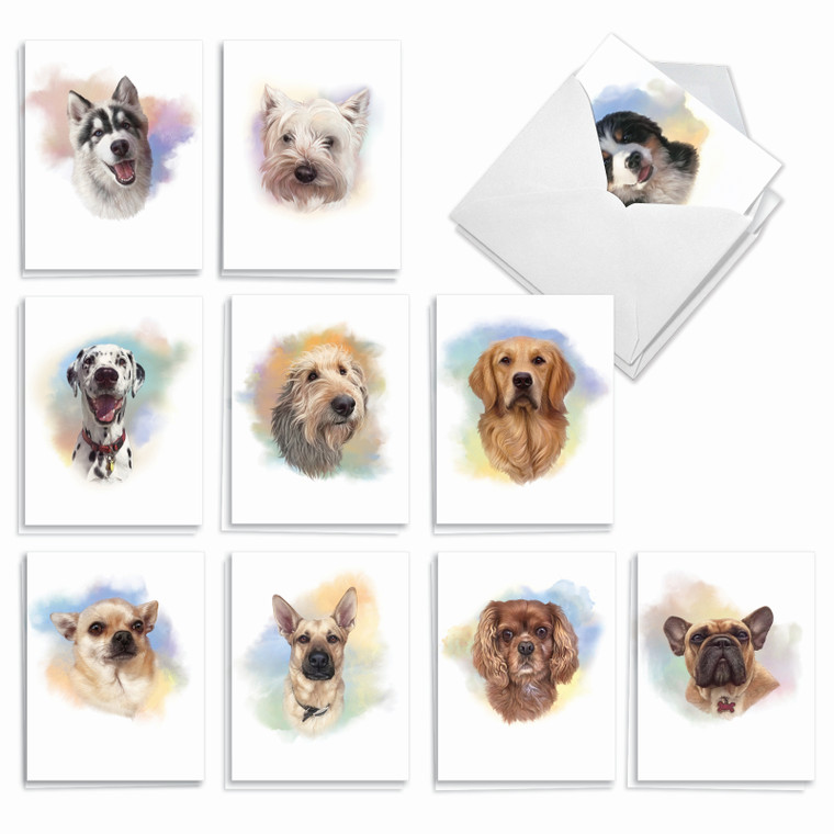 Handsome Dogs, Assorted Set Of Blank Notecards - AM3497OCB