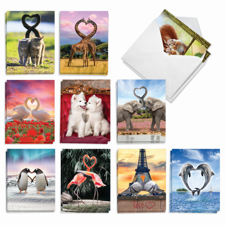 Loving Animals, Assorted Set Of Blank Notecards - AM3504OCB