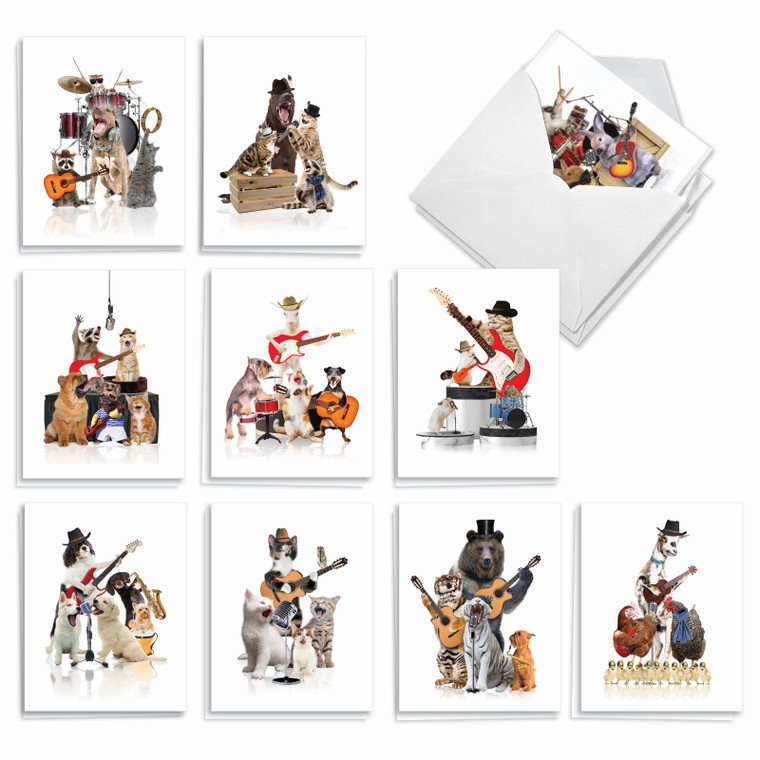 Animal Bands, Assorted Set Of 20 Printed Blank Notecards - AM9508OCB