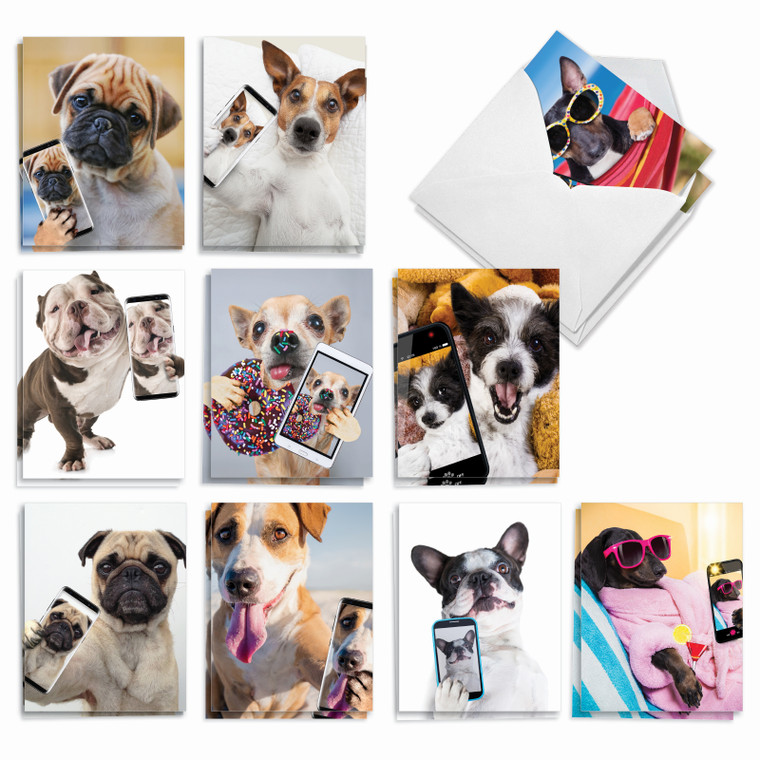 Doggy Selfie, Assorted Set Of Blank Notecards - AM9512OCB