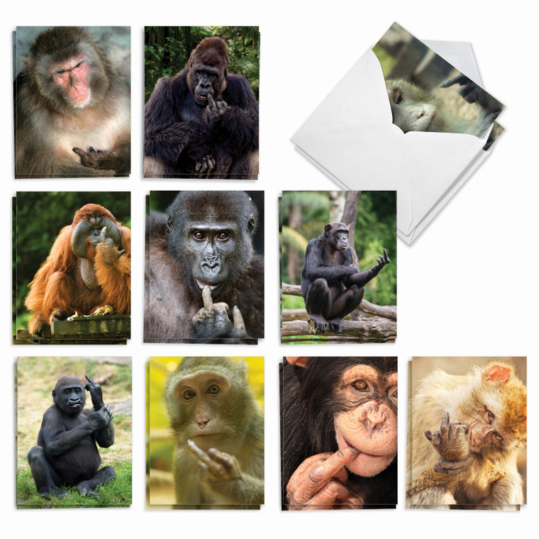 Flipping Monkey, Assorted Set Of Blank Notecards - AM9516OCB