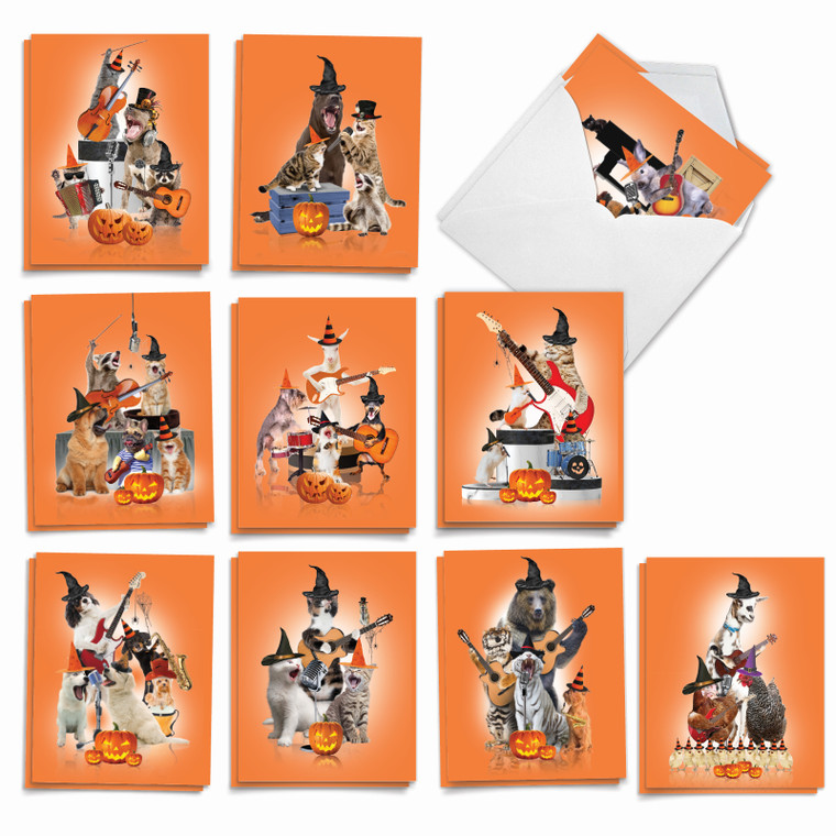 Spooky Animal Bands, Assorted Set Of Halloween Notecards - AM9541HWG