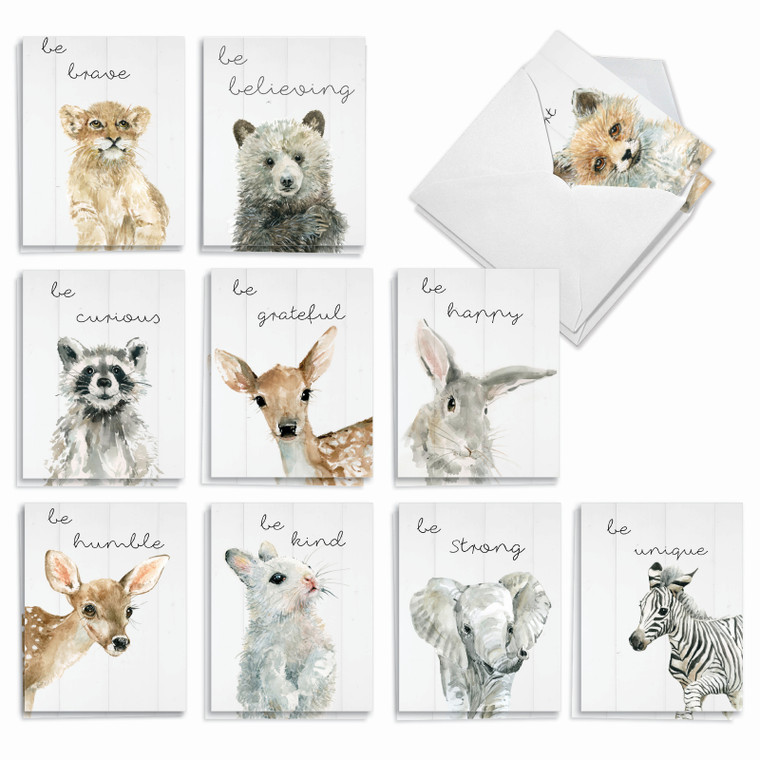 Be Wild, Assorted Set Of Blank Notecards - AM9543OCB