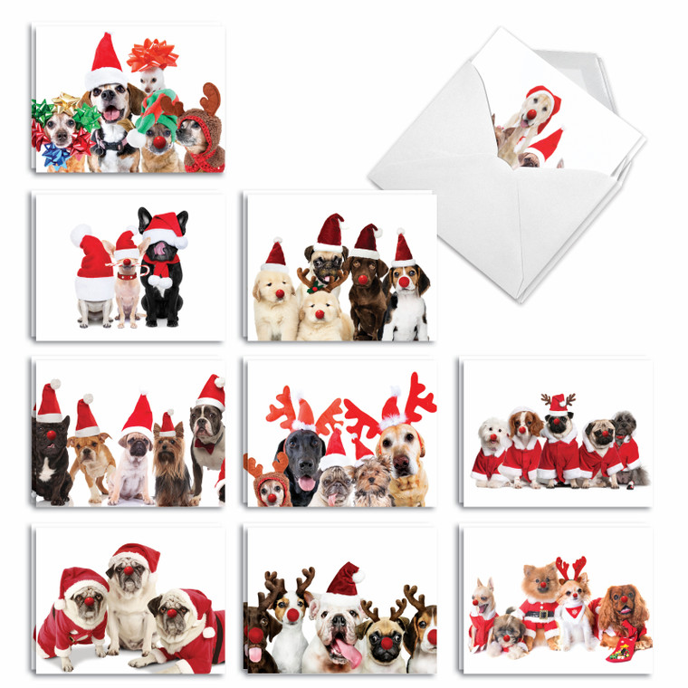 Happy Howling Days, Assorted Set Of Happy Holidays Notecards - AM9562HHG-US