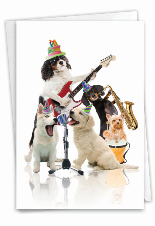 Animal Bands - Dogs, Printed Birthday Greeting Card - C9508FBDG