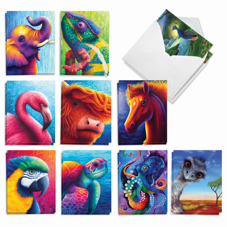 Vivid Wildlife, Assorted Set Of Blank Notecards - AM8884OCB