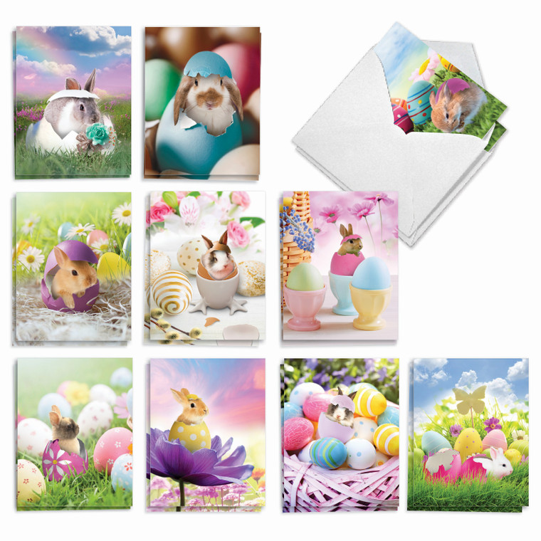 Hatching Rabbits, Assorted Set Of Easter Notecards - AM8993EAG