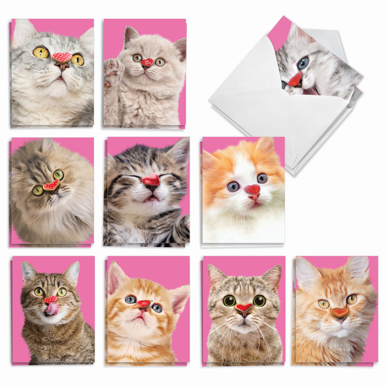 Heart Cats, Assorted Set Of 20 Printed Valentine's Day Notecards - AM9266VDG