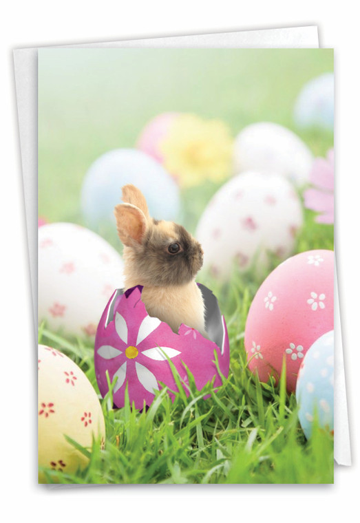 Hatching Rabbits - Egg, Printed Easter Greeting Card - C8993FEAG