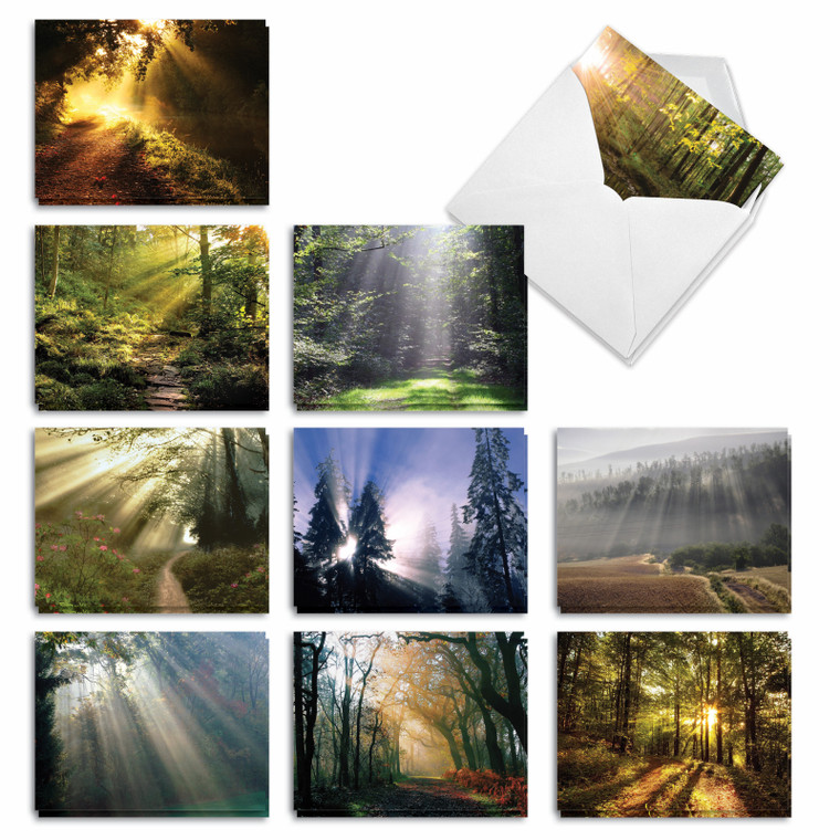 Shining Through, Assorted Set Of 20 Printed Sympathy Thank You Notecards - AM1735STG