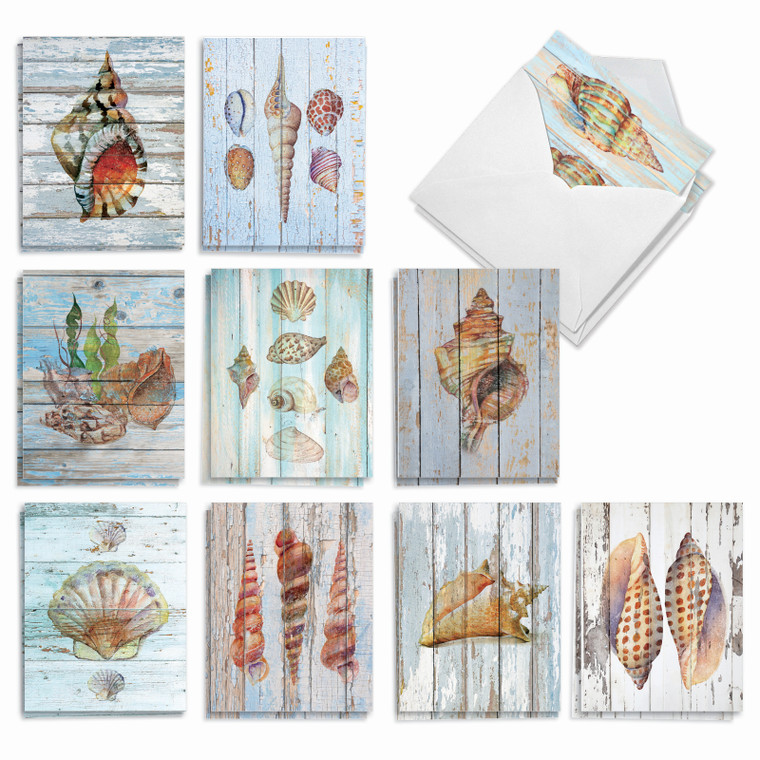 Seashell Driftwood, Assorted Set Of Thank You Notecards - AM6118TYG