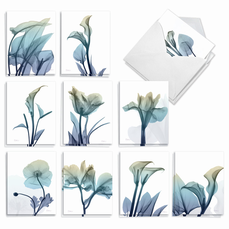 Blooming Expressions, Assorted Set Of Thank You Notecards - AM6221TYG