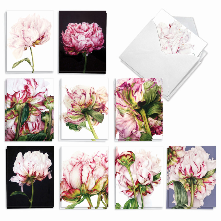 Precious Peonies, Assorted Set Of Thank You Notecards - AM6279TYG