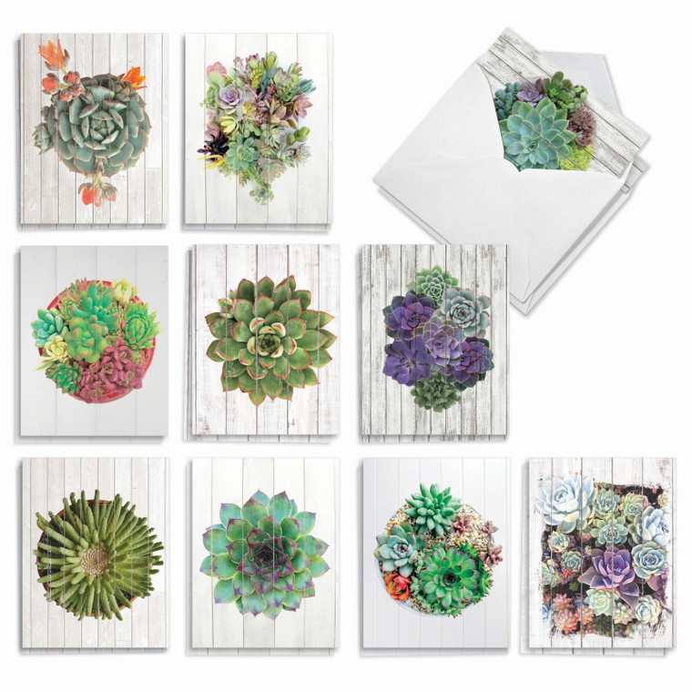 Shiplap Succulents, Assorted Set Of Thank You Notecards - AM6438TYG