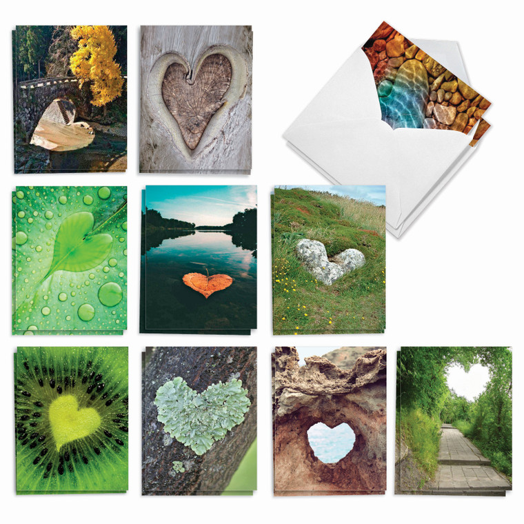 Heartscapes, Assorted Set Of Thank You Notecards - AM6838TYG
