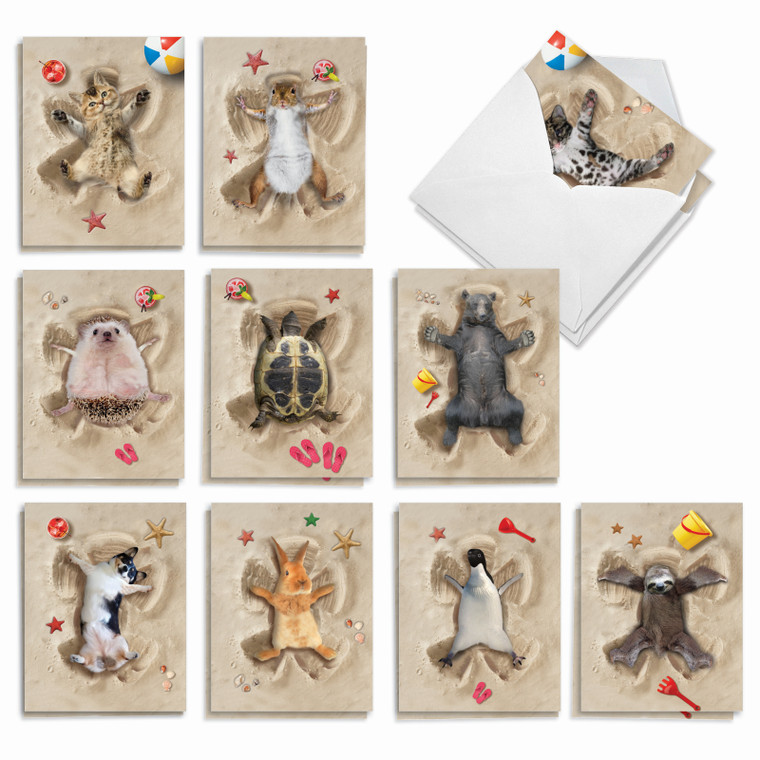 Sand Angels, Assorted Set Of Thank You Notecards - AM6844TYG