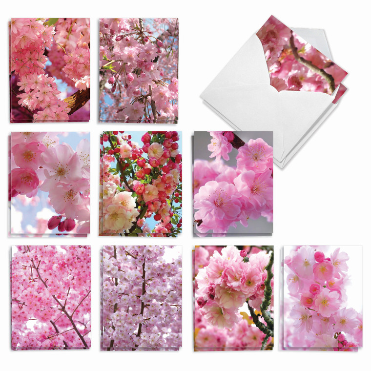Cherry Blossoms, Assorted Set Of Thank You Notecards - AM6861TYG