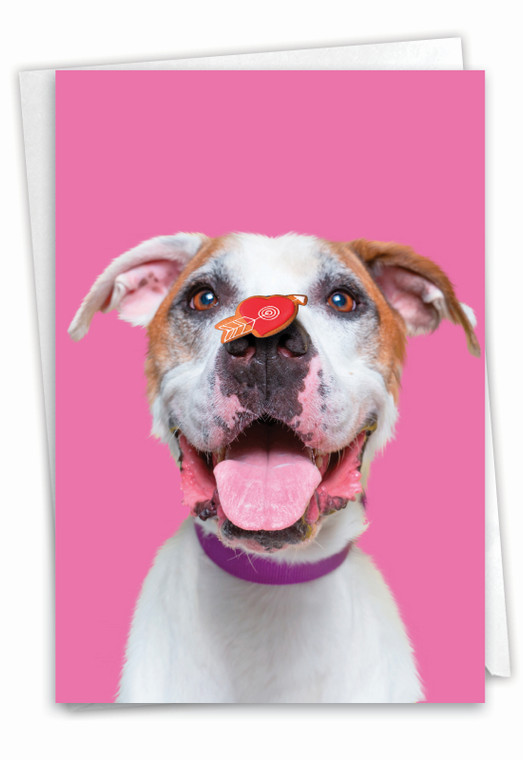 Heart Dogs, Printed Birthday Greeting Card - C9161GBDG