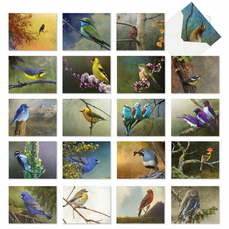 Birds and Branches, Assorted Set Of Thank You Notecards - AM2822TYG