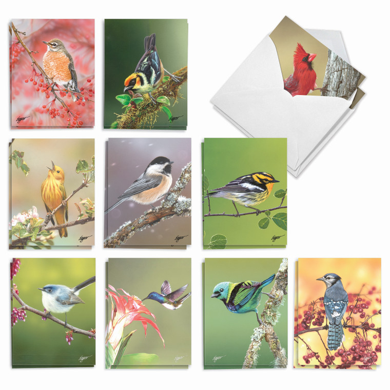 Bird Beauties, Assorted Set Of Blank Notecards - AM9616OCB